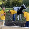 Barenbrug Holding helps City Farm “de Korenmaat” in Arnhem - The Netherlands Barenbrug Holding helps City Farm “de Korenmaat” in Arnhem - The Netherlands