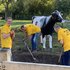 Barenbrug Holding helps City Farm “de Korenmaat” in Arnhem - The Netherlands Barenbrug Holding helps City Farm “de Korenmaat” in Arnhem - The Netherlands